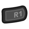 R1